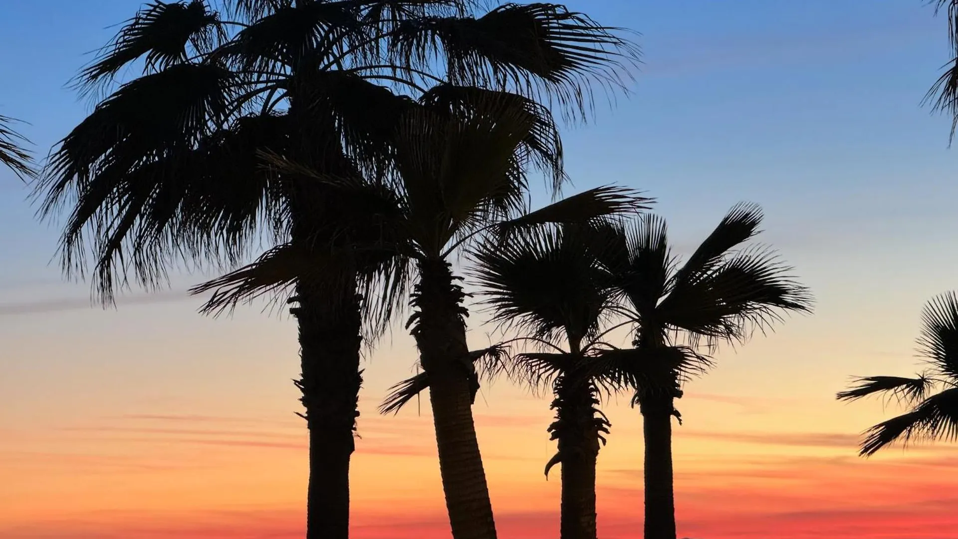 Apartment Strandnaera Boende I Torrox Costa Spain